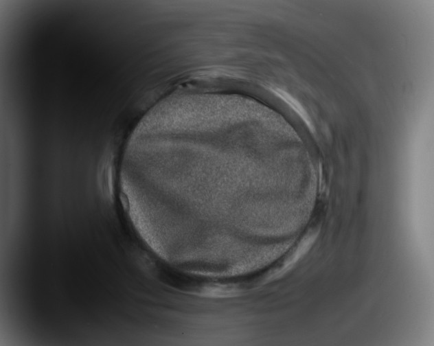 X0000087560109200705181132