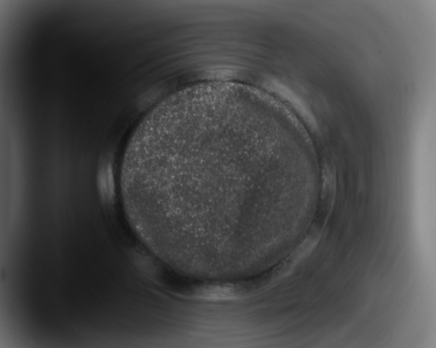 X0000087560110200705181132