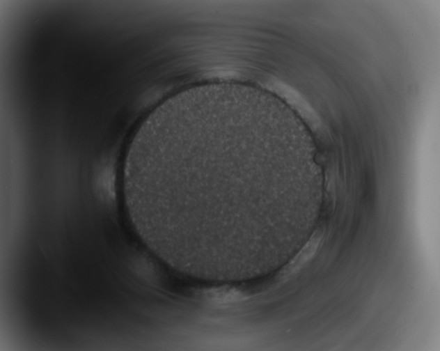 X0000087560112200705181132