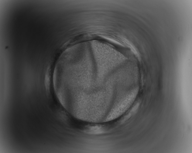 X0000087560113200705181132