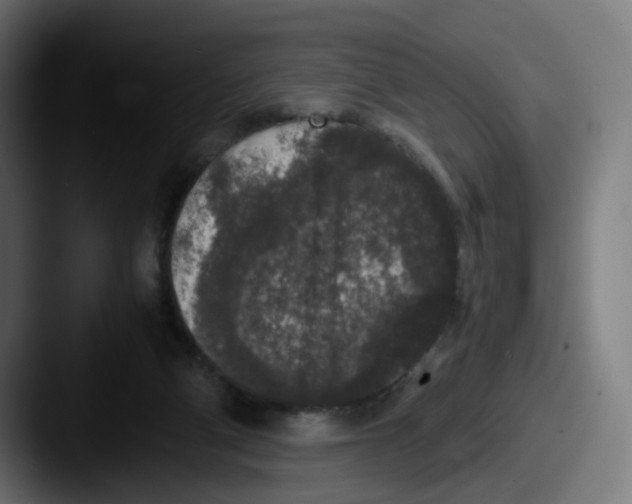 X0000087560114200705181132