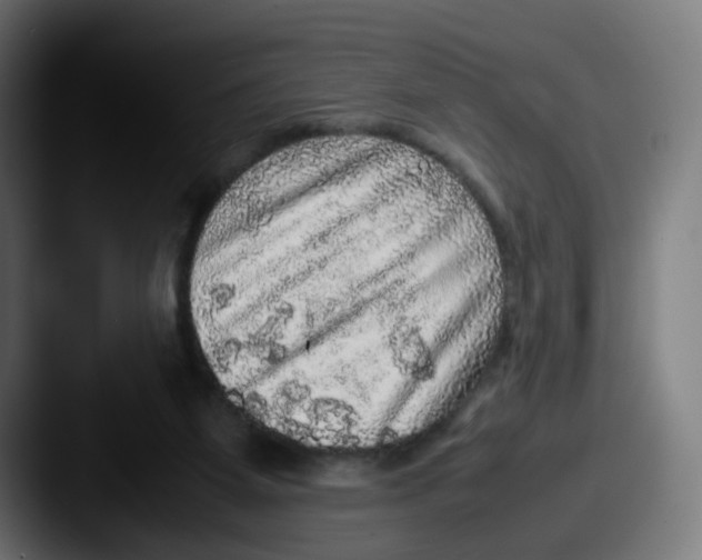 X0000087560115200705181132