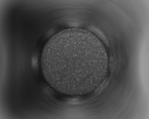 X0000087560116200705181132