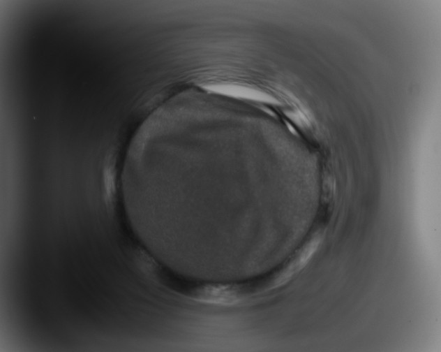 X0000087560117200705181132