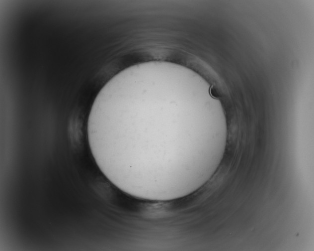 X0000087560122200705181131