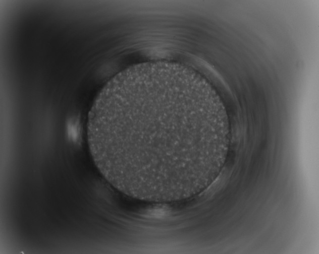 X0000087560124200705181131