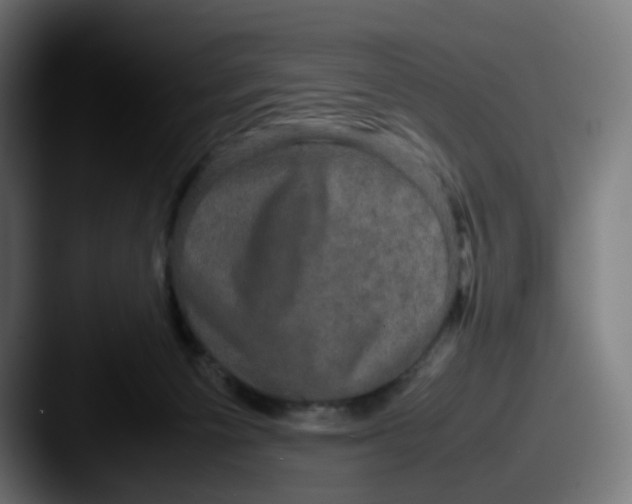 X0000087560125200705181131
