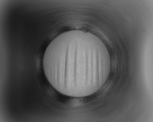 X0000087560126200705181131