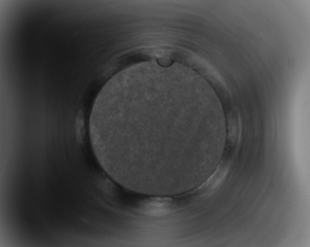 X0000087560128200705181131