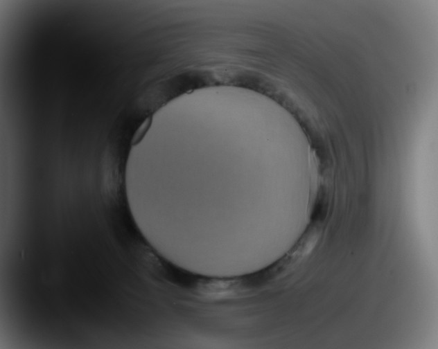 X0000087560129200705181131