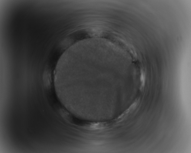 X0000087560130200705181131