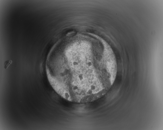 X0000087560131200705181131