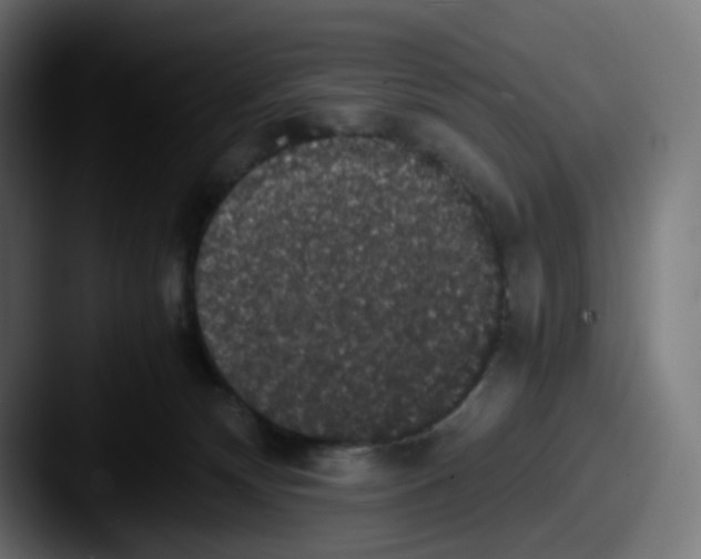 X0000087560132200705181131