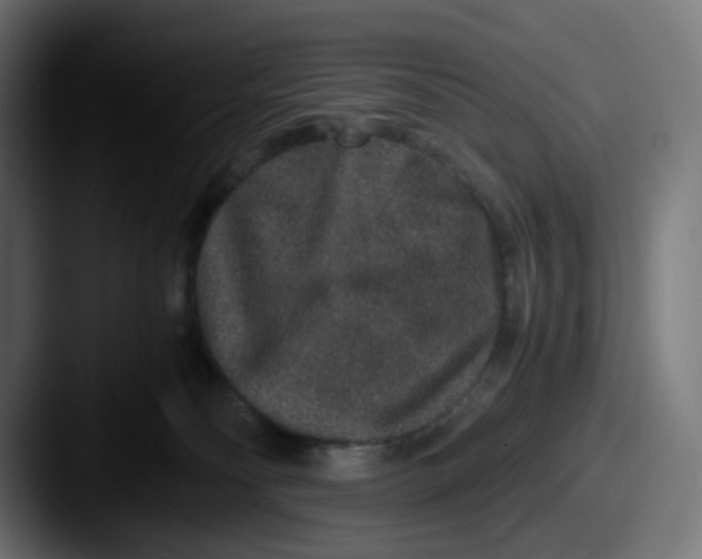X0000087560134200705181131