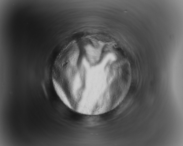 X0000087560135200705181131