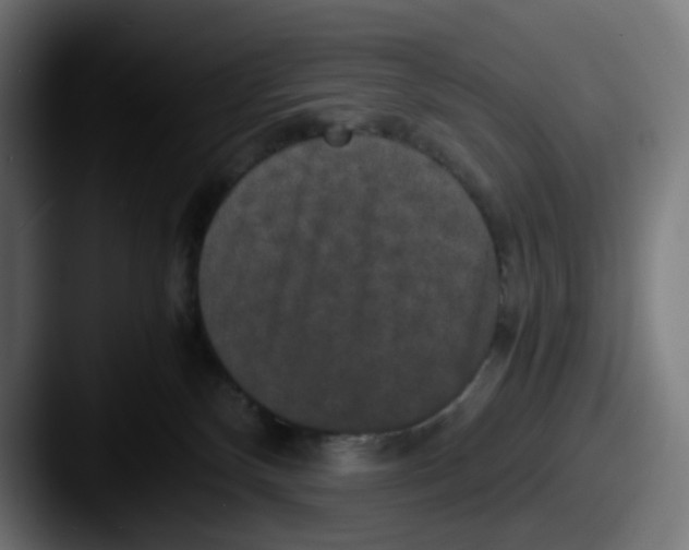 X0000087560136200705181131