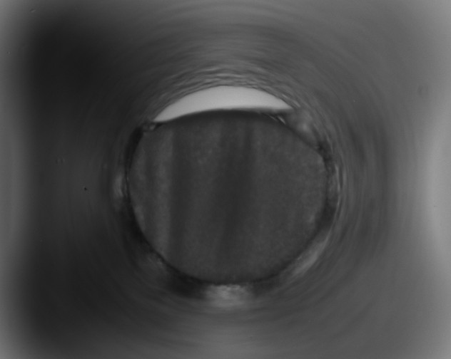 X0000087560137200705181131