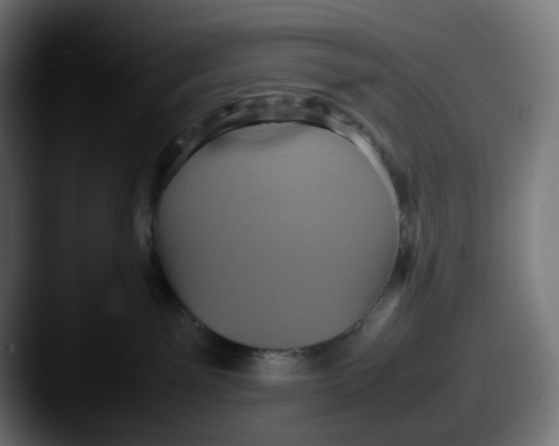 X0000087560141200705181131