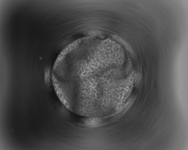 X0000087560142200705181131