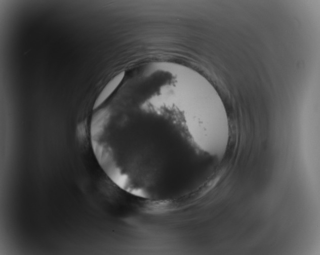 X0000087560143200705181131