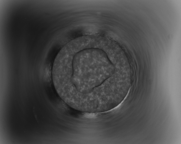 X0000087560144200705181131