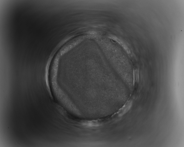 X0000087560147200705181131