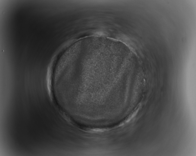 X0000087560149200705181131