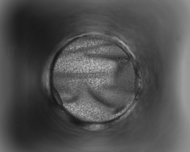 X0000087560152200705181131