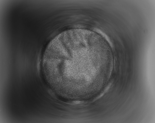 X0000087560153200705181131