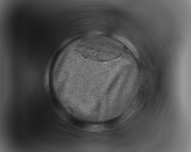 X0000087560155200705181131