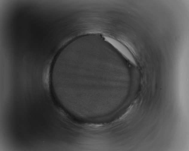 X0000087560156200705181131