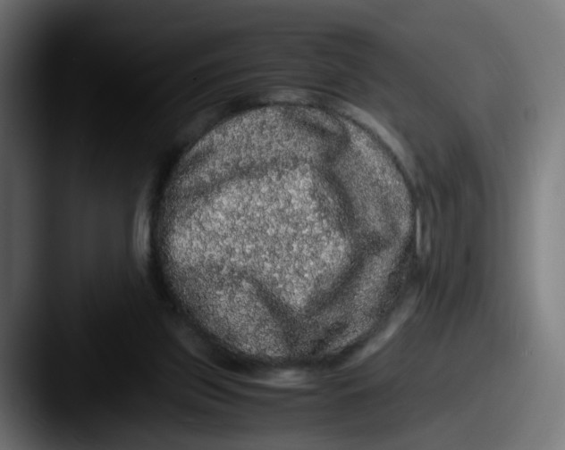 X0000087560157200705181131
