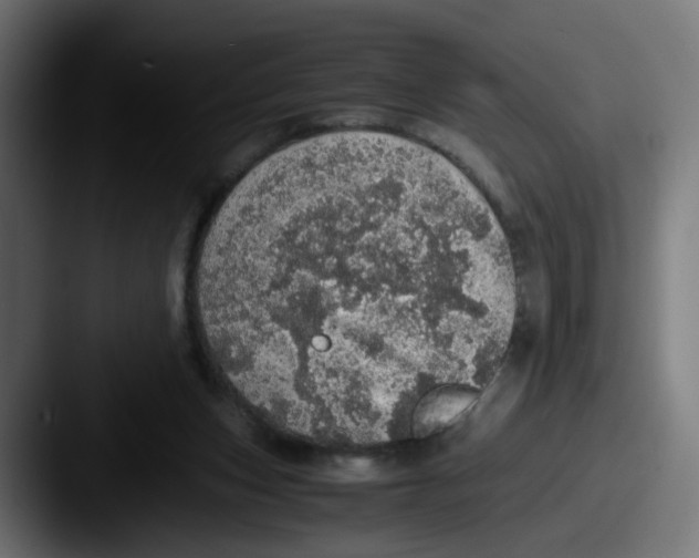 X0000087560159200705181131