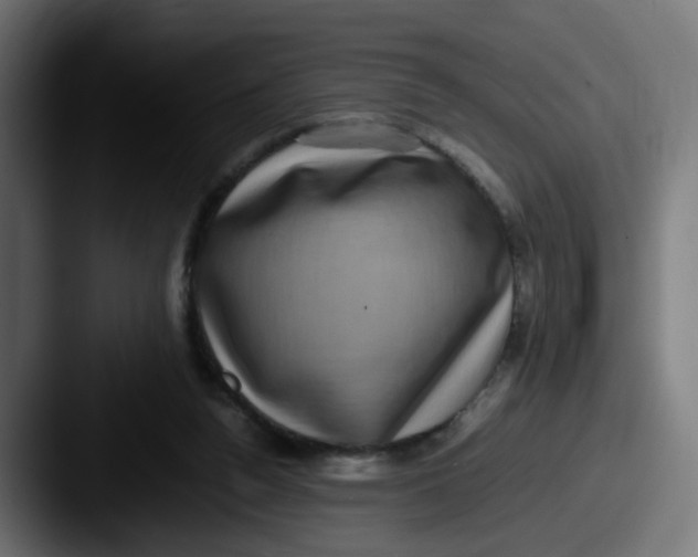X0000087560160200705181131