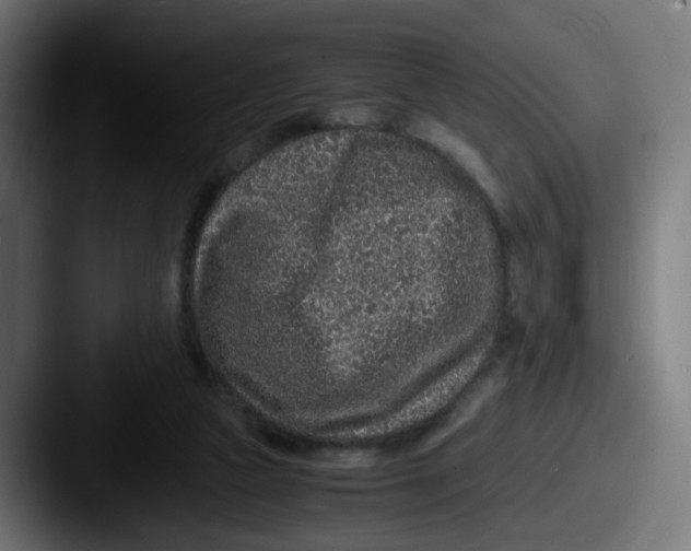 X0000087560161200705181131