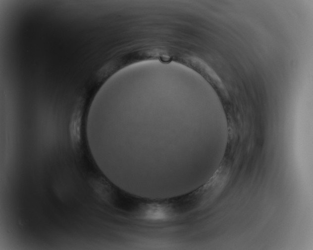 X0000087560163200705181131