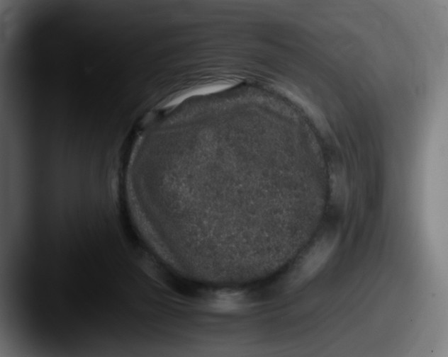 X0000087560165200705181131