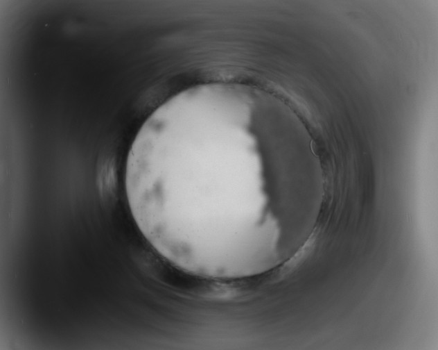 X0000087560166200705181131