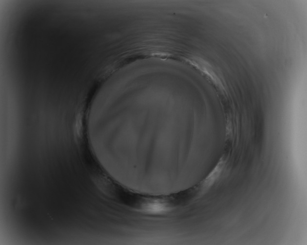 X0000087560167200705181131