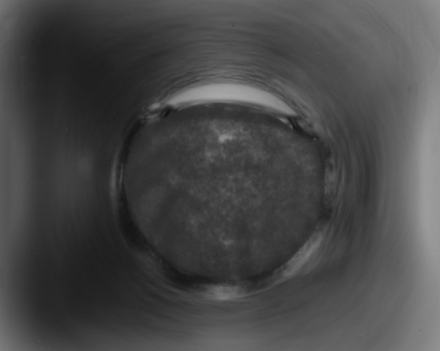 X0000087560168200705181131