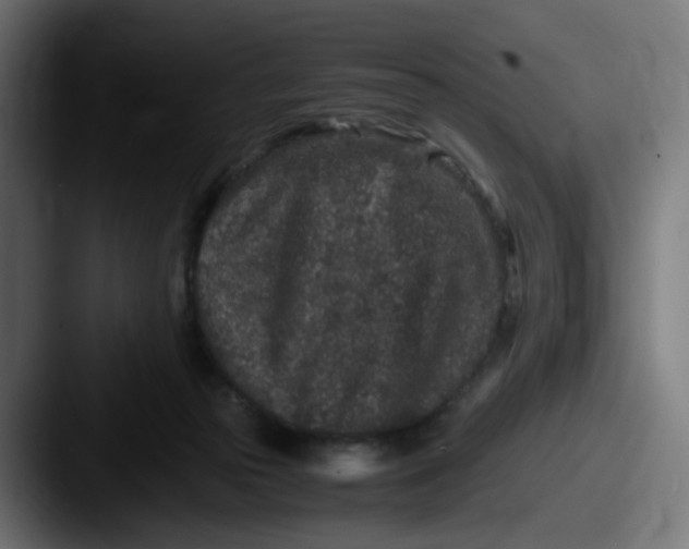 X0000087560169200705181131