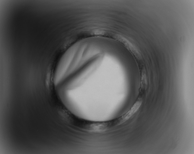 X0000087560172200705181131