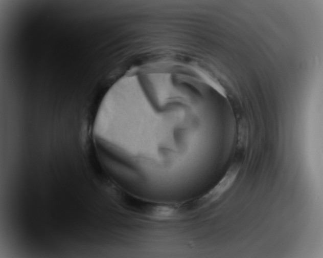 X0000087560176200705181131