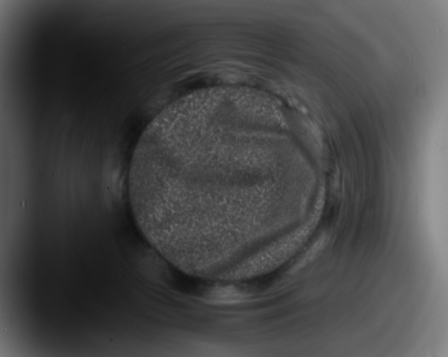 X0000087560177200705181131