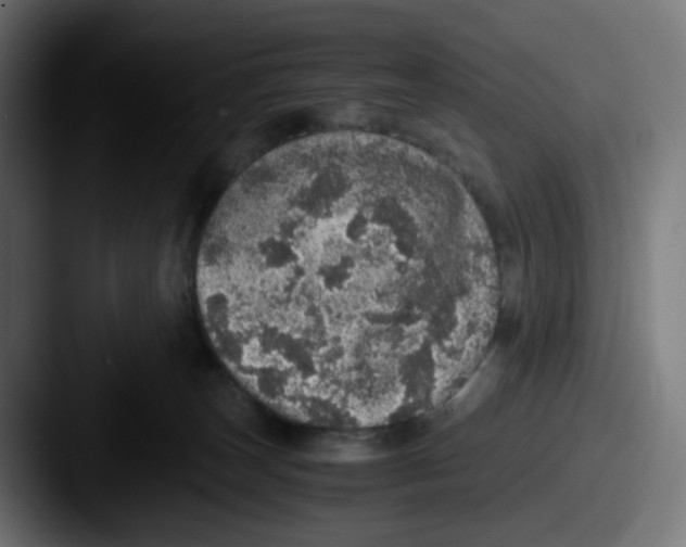 X0000087560179200705181131