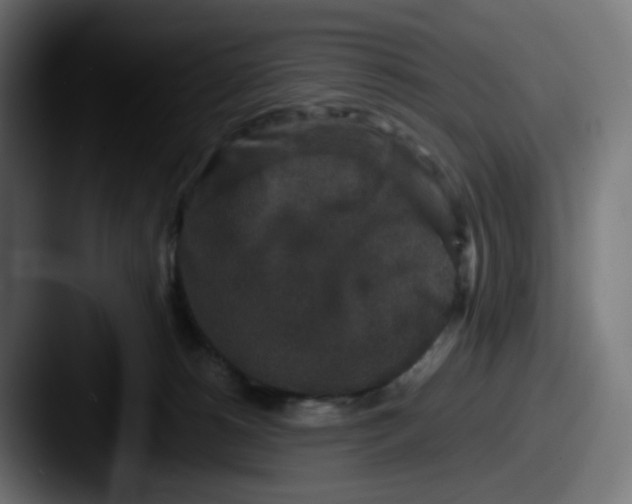 X0000087560180200705181131