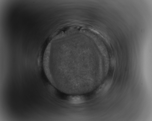 X0000087560181200705181131