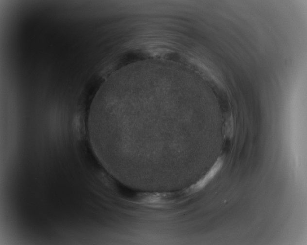 X0000087560182200705181131