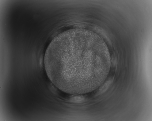 X0000087560185200705181131