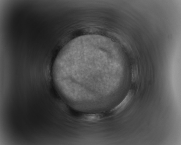 X0000087560187200705181131